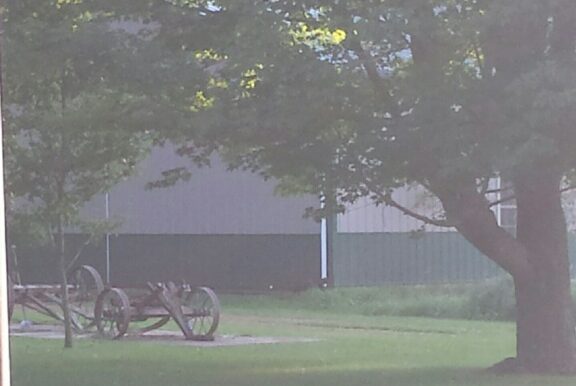 Concerts in the Shed
